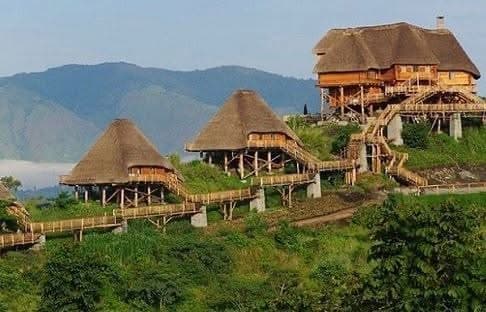 Mahogany Springs Lodge