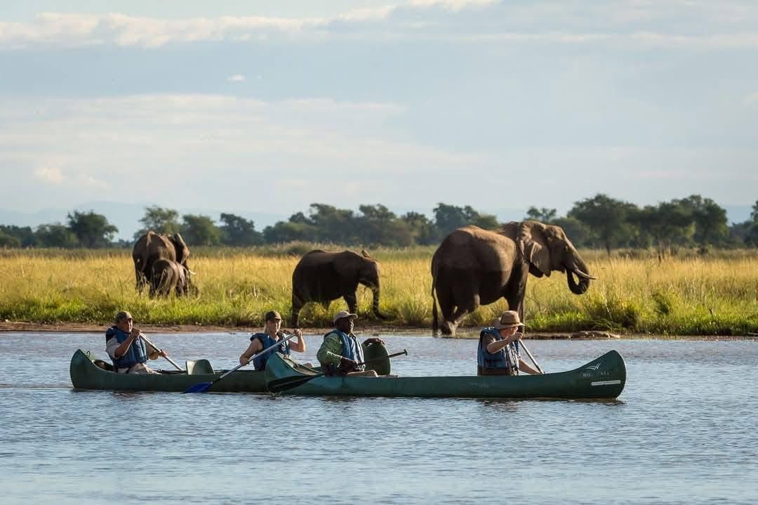 Boat Safaris - Safari experience showcasing A Journey Through Untamed Waters in East Africa