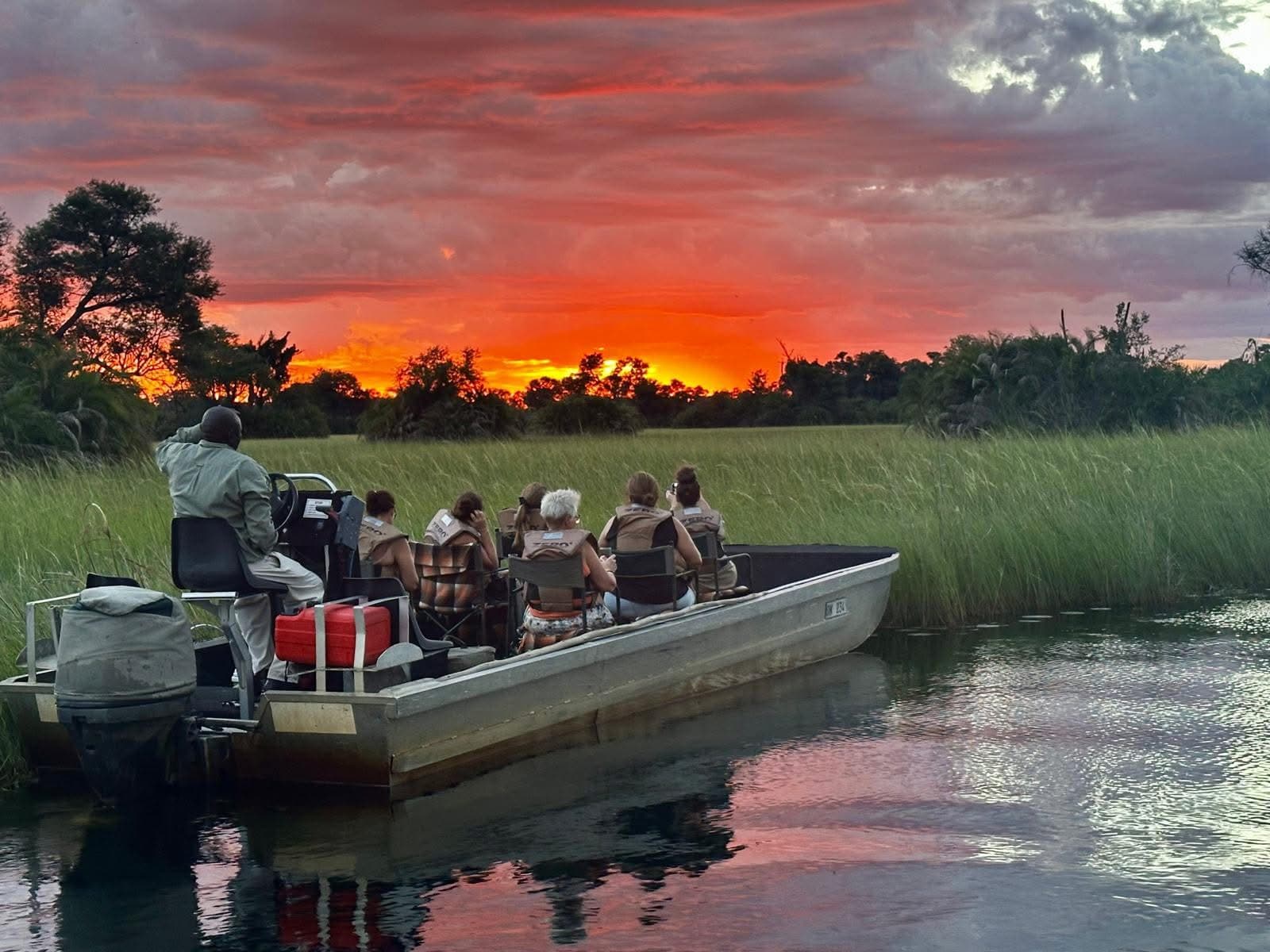 Boat Safaris