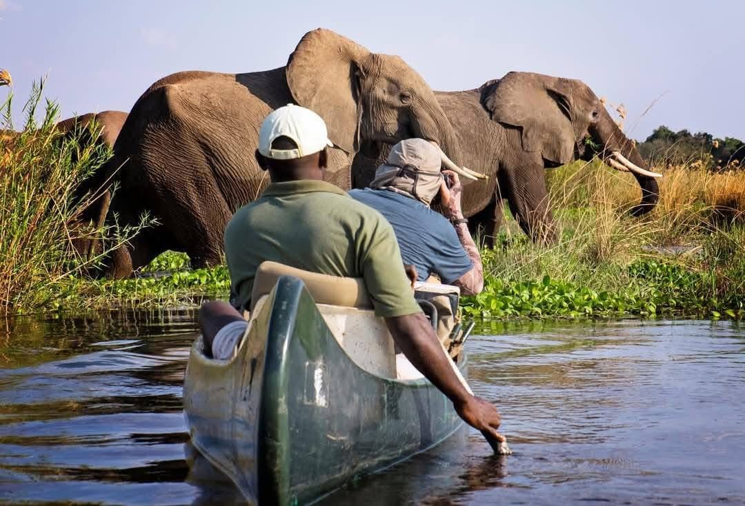 Boat Safaris - Safari experience showcasing A Journey Through Untamed Waters in East Africa