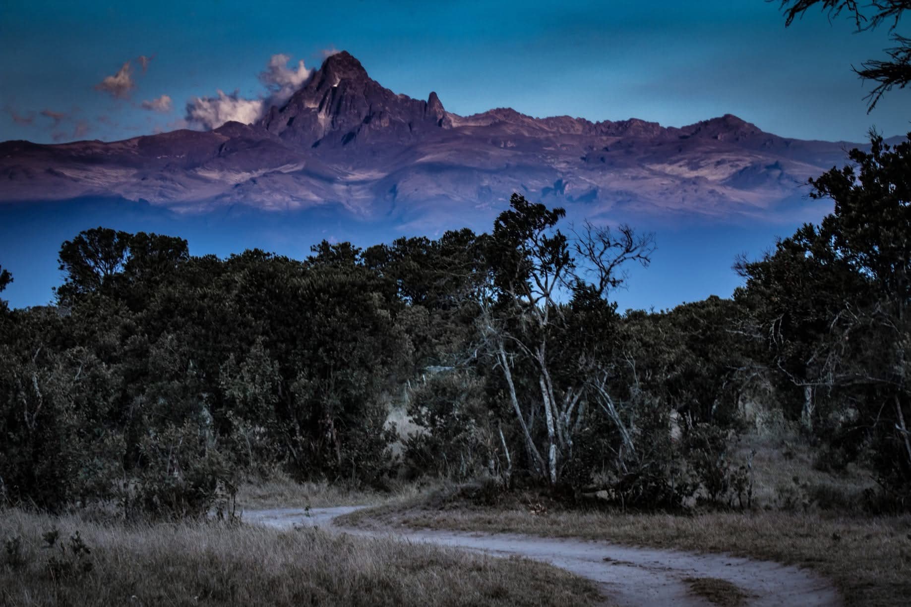 Night Game Drives - Safari experience showcasing A Nocturnal Safari Adventure in East Africa
