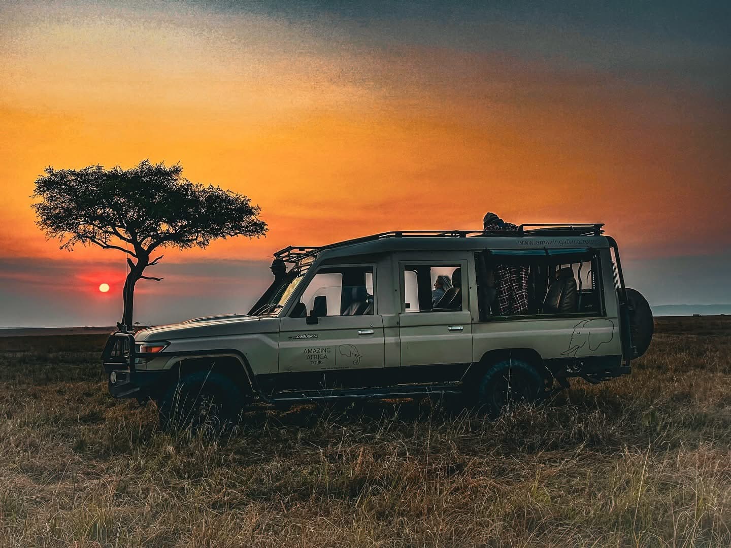 Night Game Drives