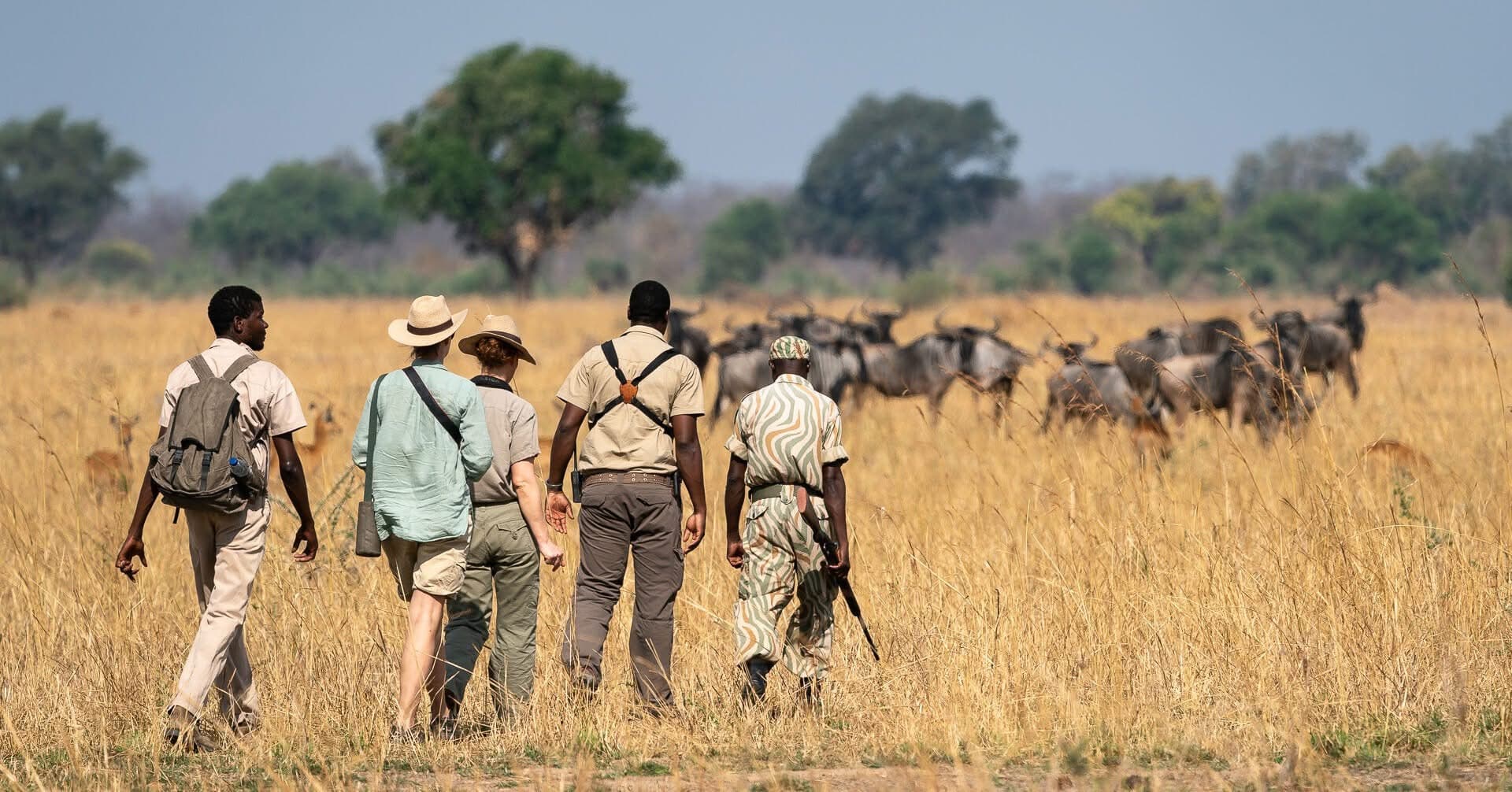 Guided Walking Safaris - Safari experience showcasing A Thrilling Safari on Foot in East Africa