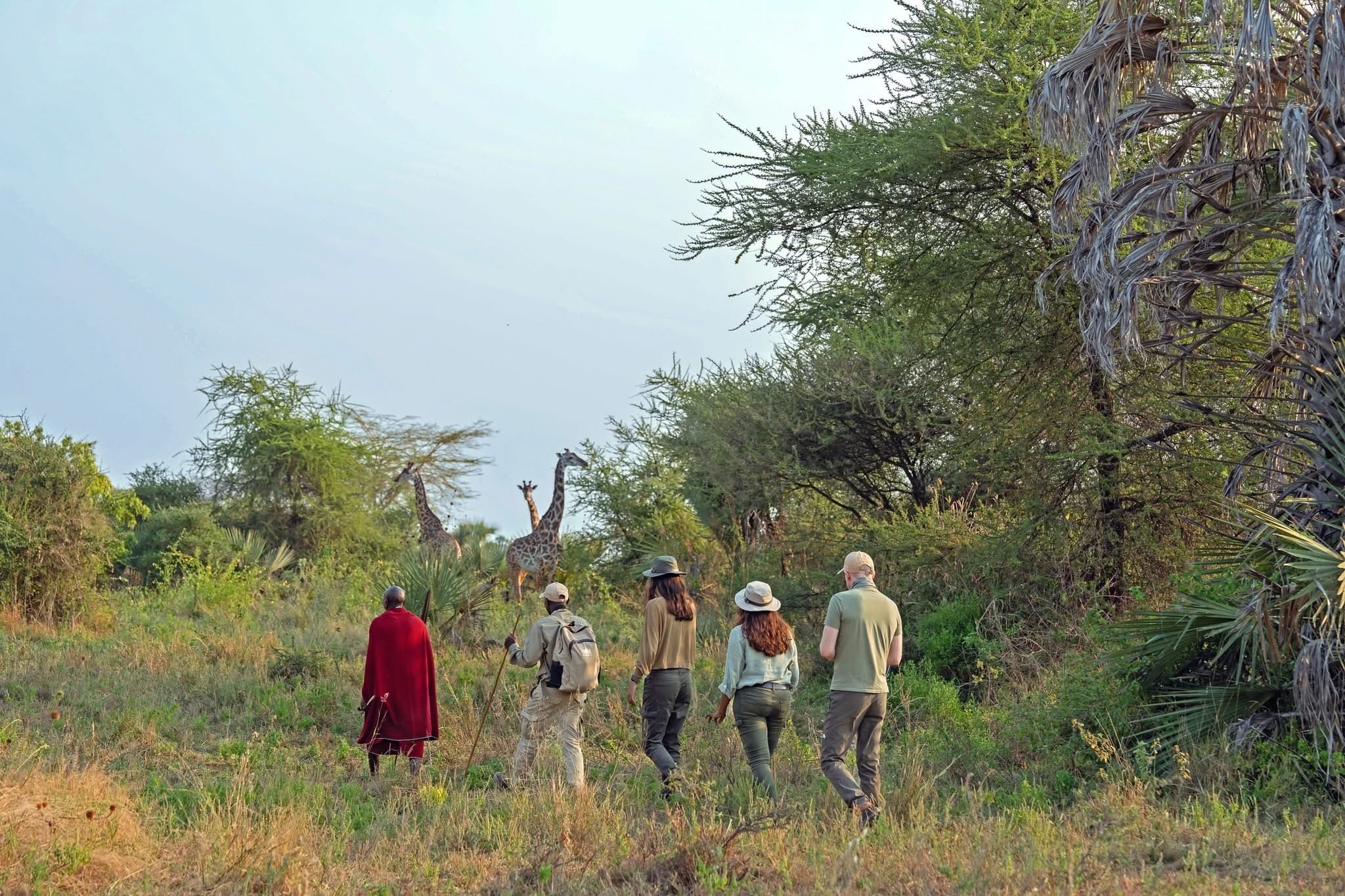 Guided Walking Safaris - Safari experience showcasing A Thrilling Safari on Foot in East Africa
