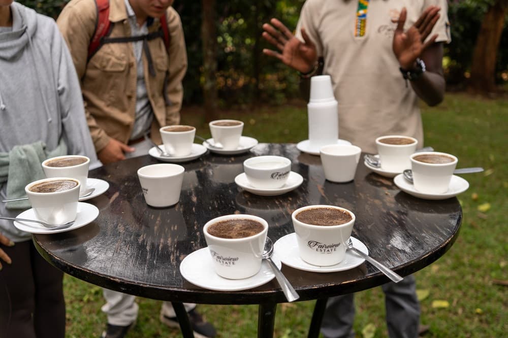 Coffee Tours - Safari experience showcasing A Unique Safari Experience in East Africa