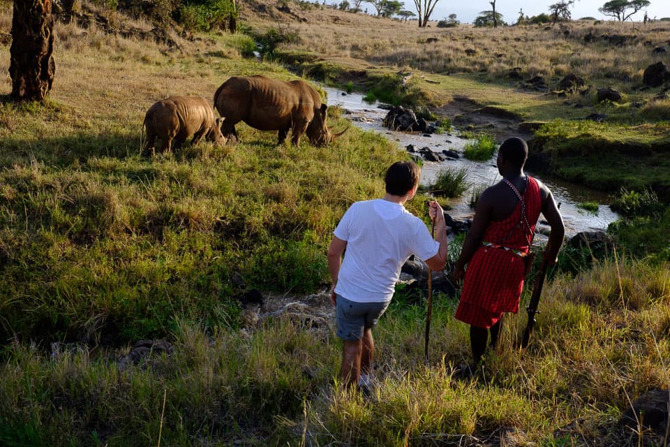 Two tourists walking with a Maasai guide on foot to observe rhinos near a stream in Tsavo, Kenya during a guided safari experience