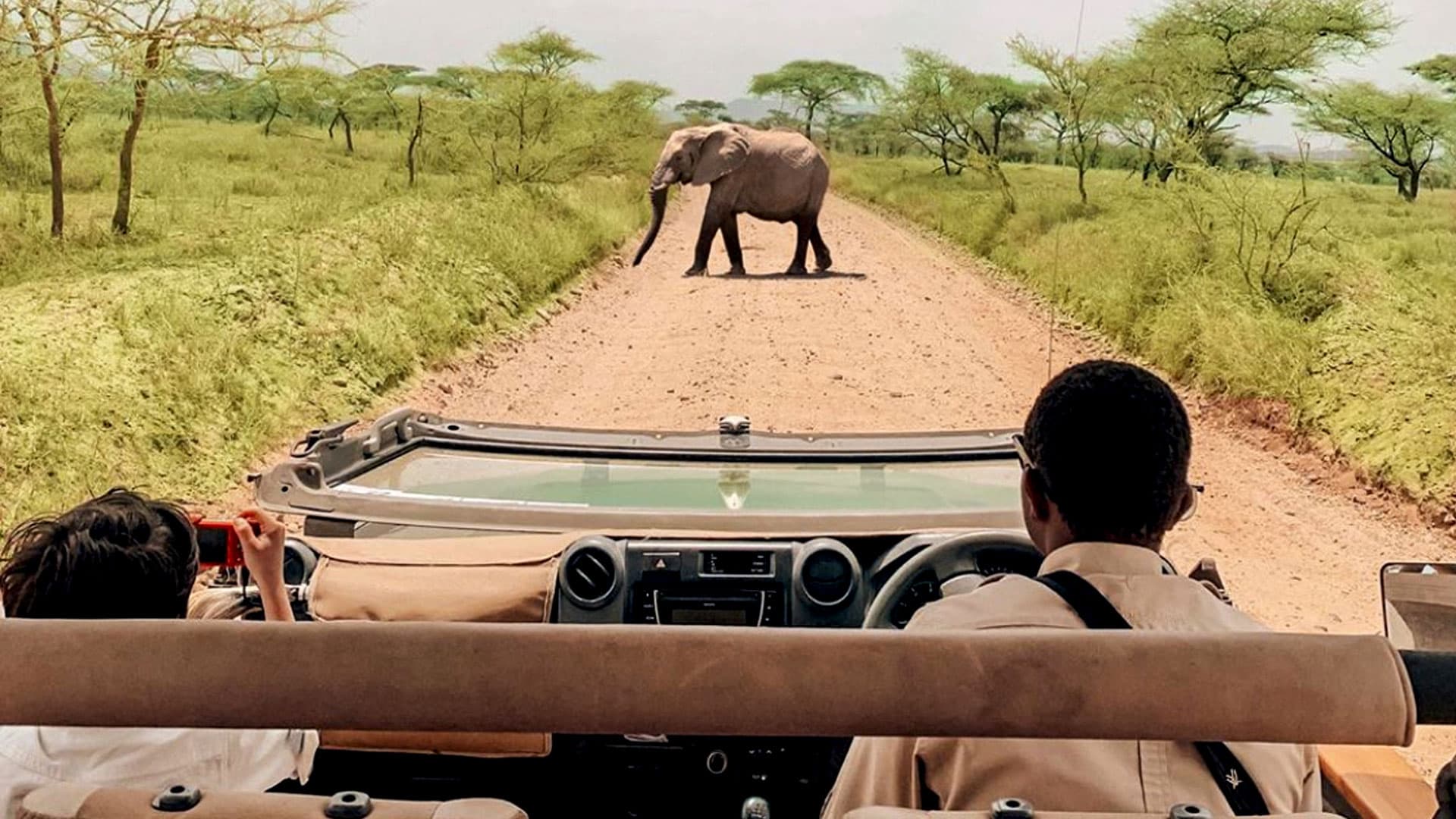 Children in open-top safari vehicle spotting African elephant on game drive in Kenya