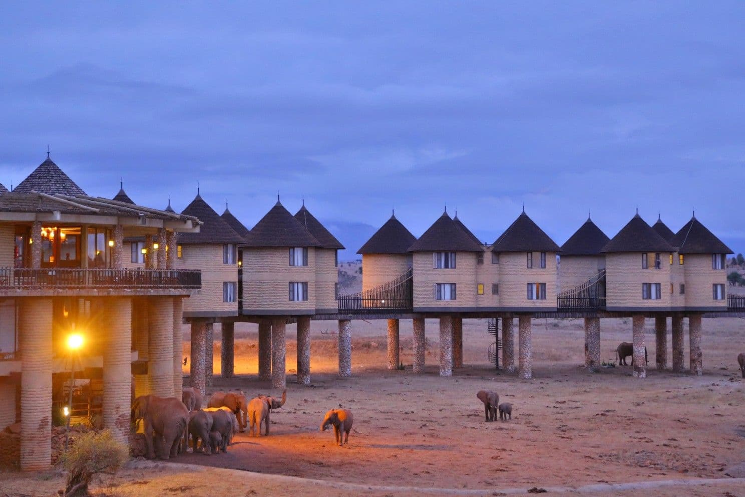 How to Choose the Right Safari for Your Travel Style