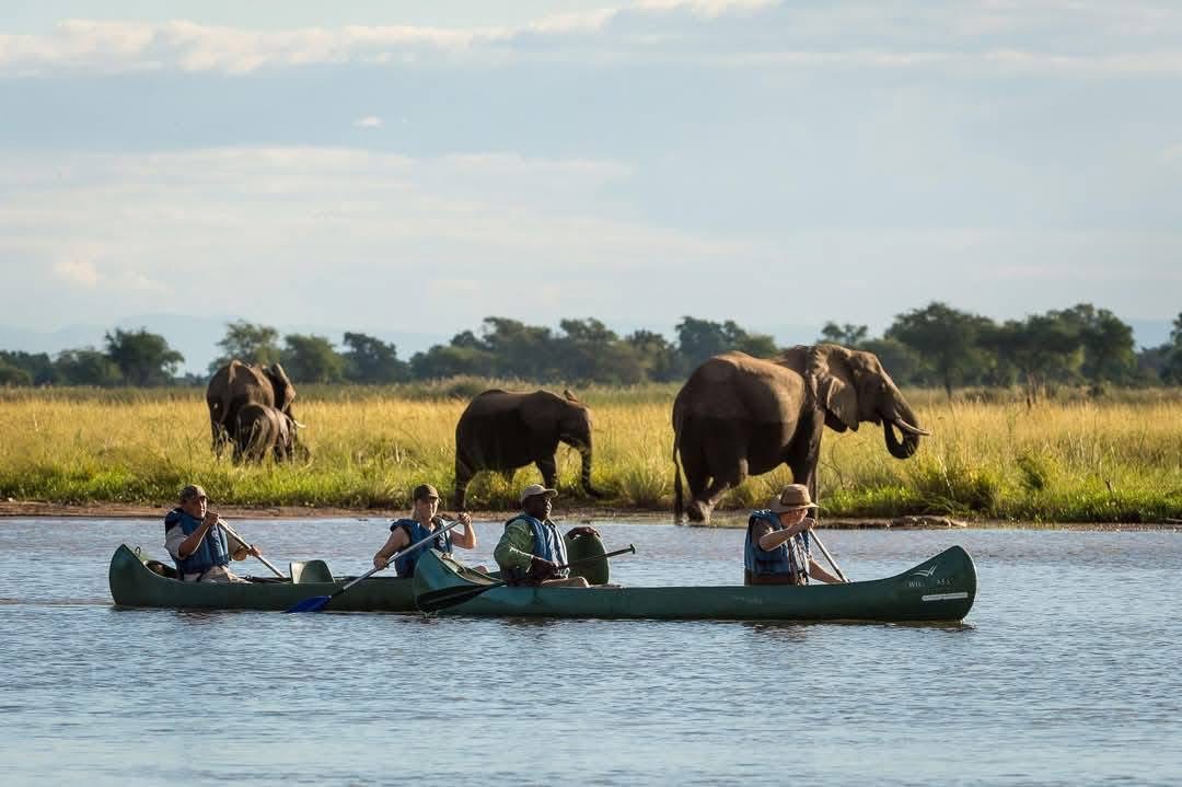 Boat Safaris - Safari experience showcasing A Journey Through Untamed Waters in East Africa