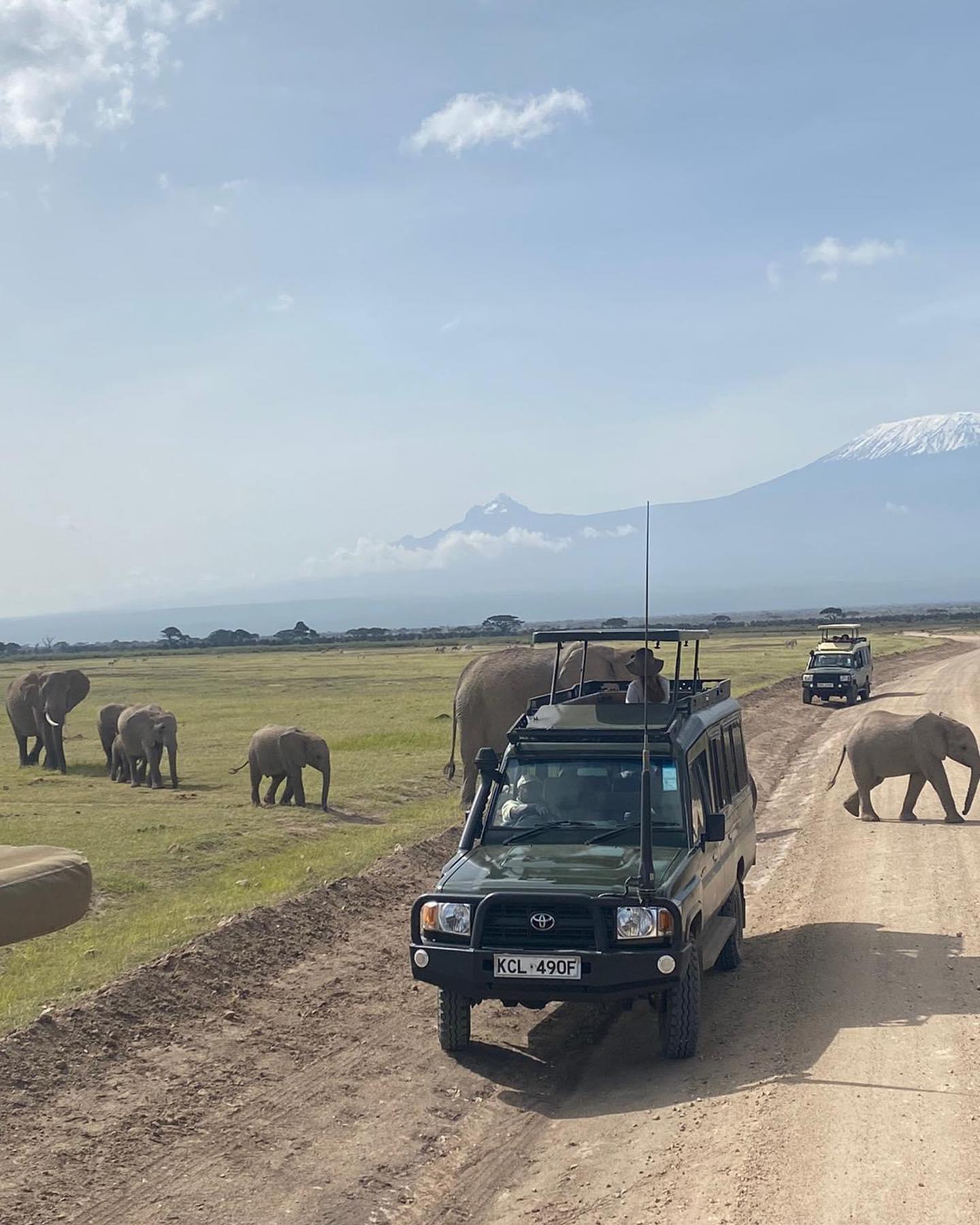 Day Game Drives - Safari experience showcasing The Ultimate Safari Adventure in East Africa