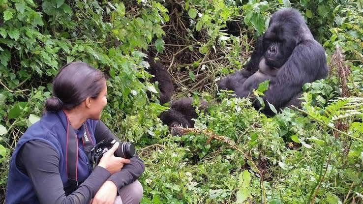 3 Days / 2 Nights Mountain Gorilla Trekking Safari In Rwanda - Rwanda safari package featuring luxury accommodations and wildlife viewing