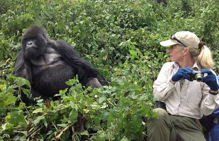 4 Days Mountain Gorilla Trekking Uganda Via Rwanda - Rwanda safari package featuring luxury accommodations and wildlife viewing