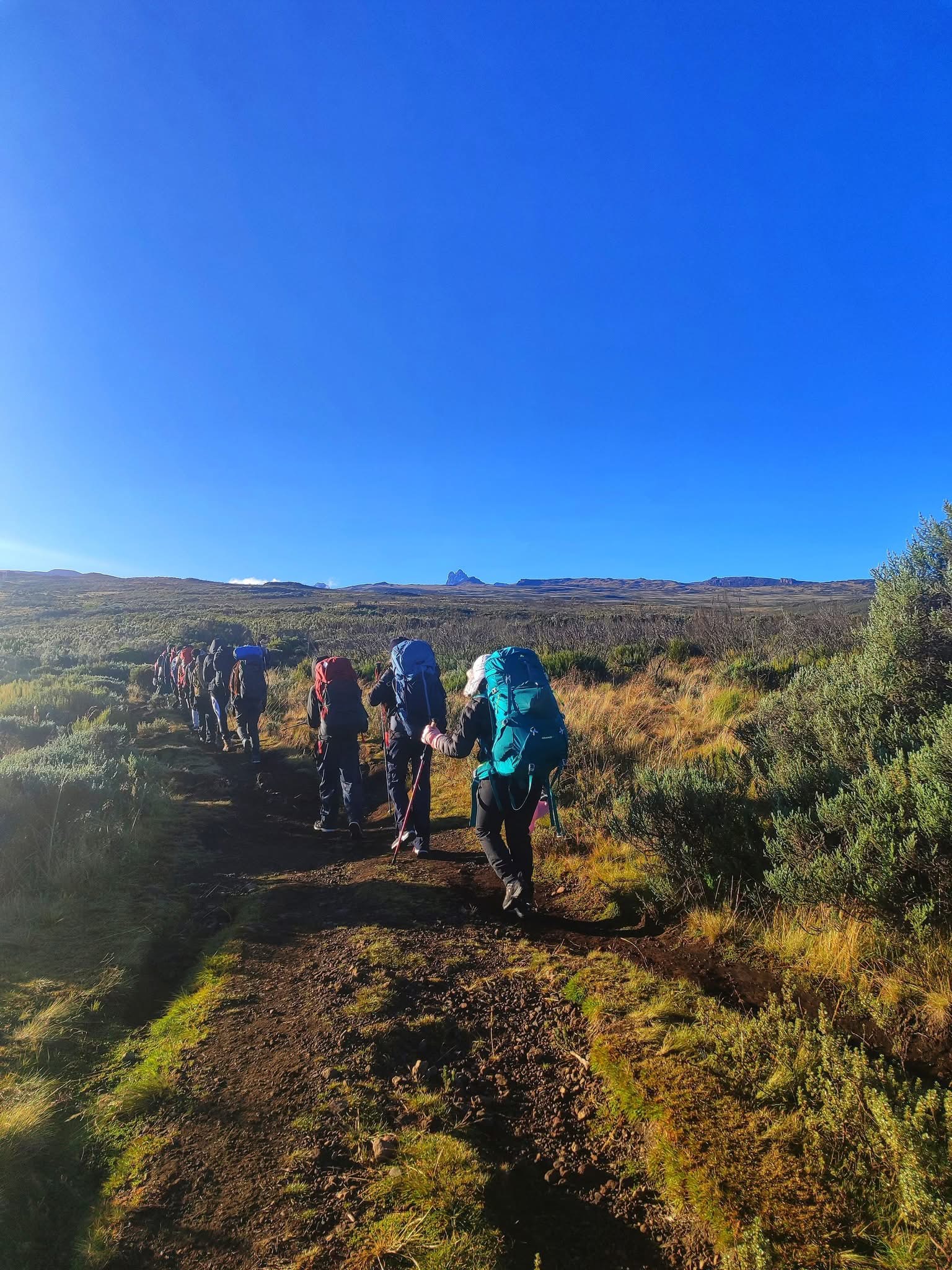Mountain Climbing - Safari experience showcasing A Safari Beyond the Wild in East Africa