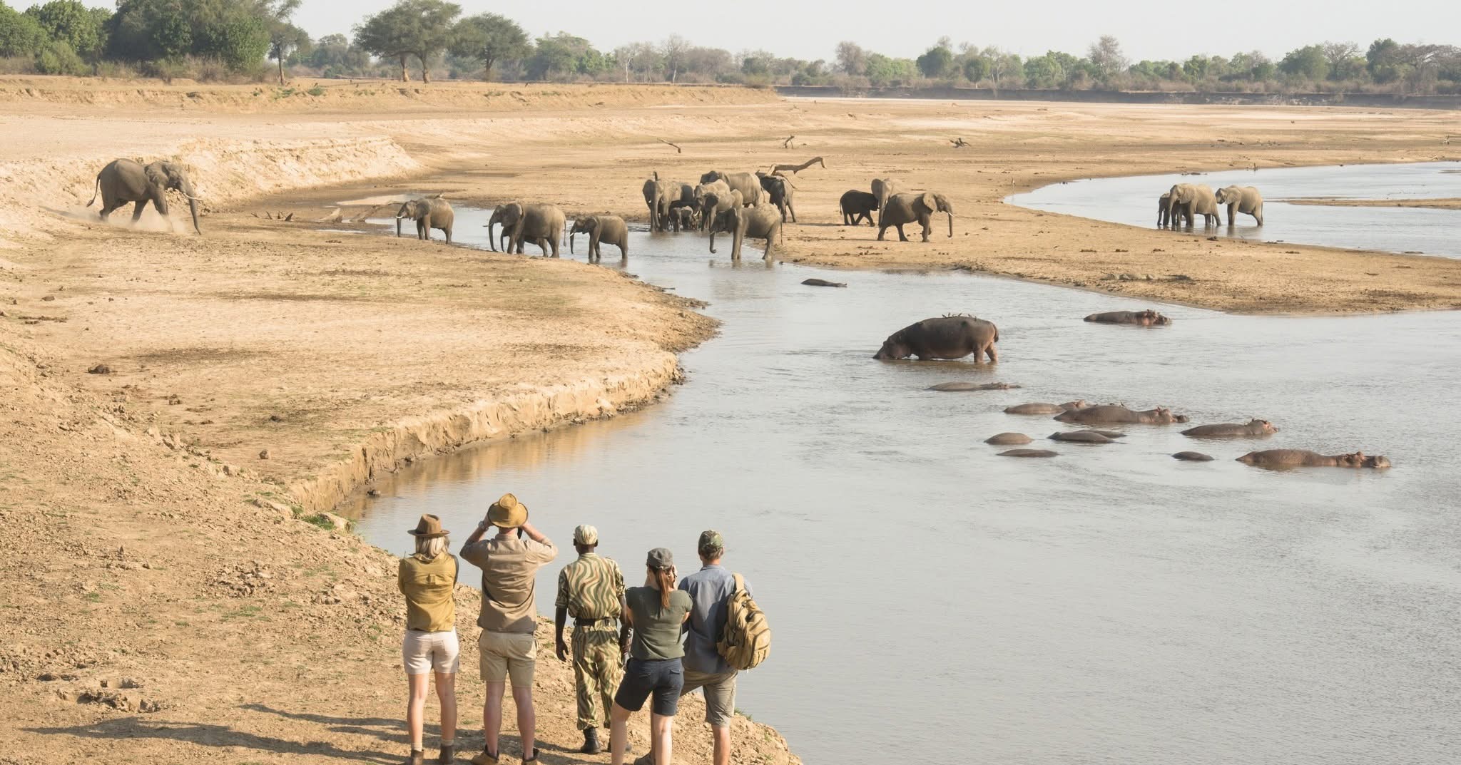 Guided Walking Safaris - Safari experience showcasing A Thrilling Safari on Foot in East Africa