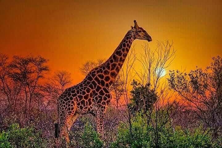 Tanzania
